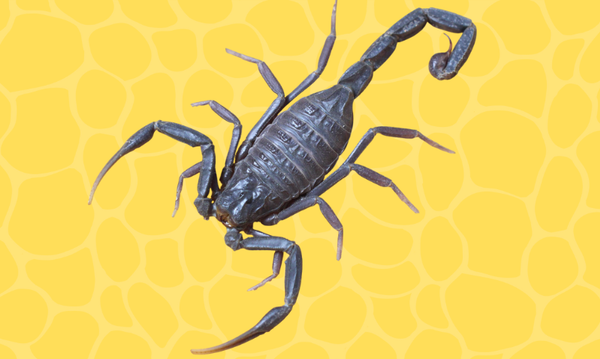 post_للحذر منها والسلامة...